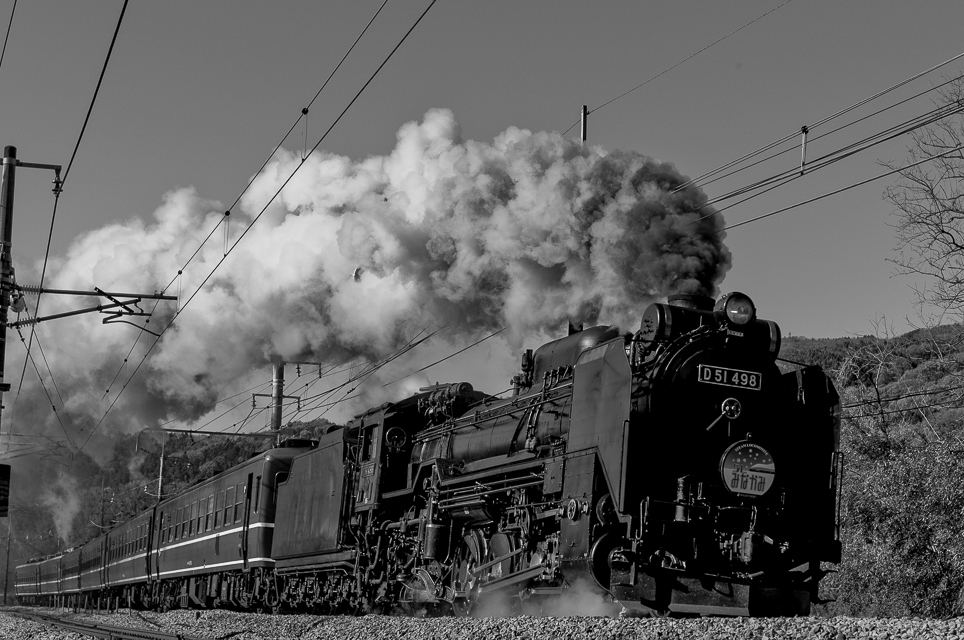 d51
