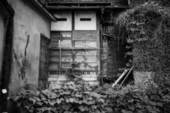 箱根湯本 #2 箱根湯本 #2