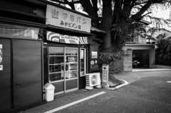 谷中 #4