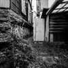 浄土寺下南田町 #01