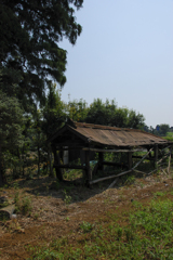 遠藤　茅ヶ崎付近