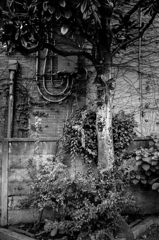 六本木 #7 六本木 #7