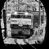 EF65