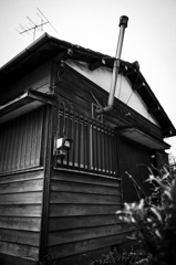 zengyo #1