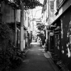  根津 #1