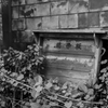 東上野 #1