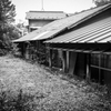 北軽井沢 #4