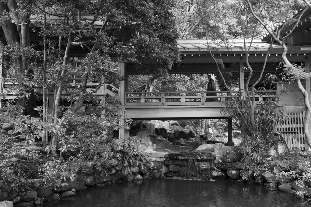 深大寺 #4