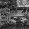 深大寺 #4