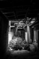 川崎大師界隈 #5