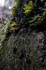 enoshima
