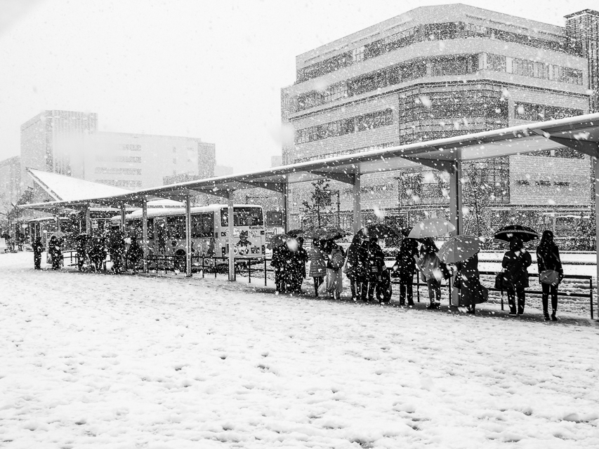 今日は雪