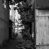 東上野 #2