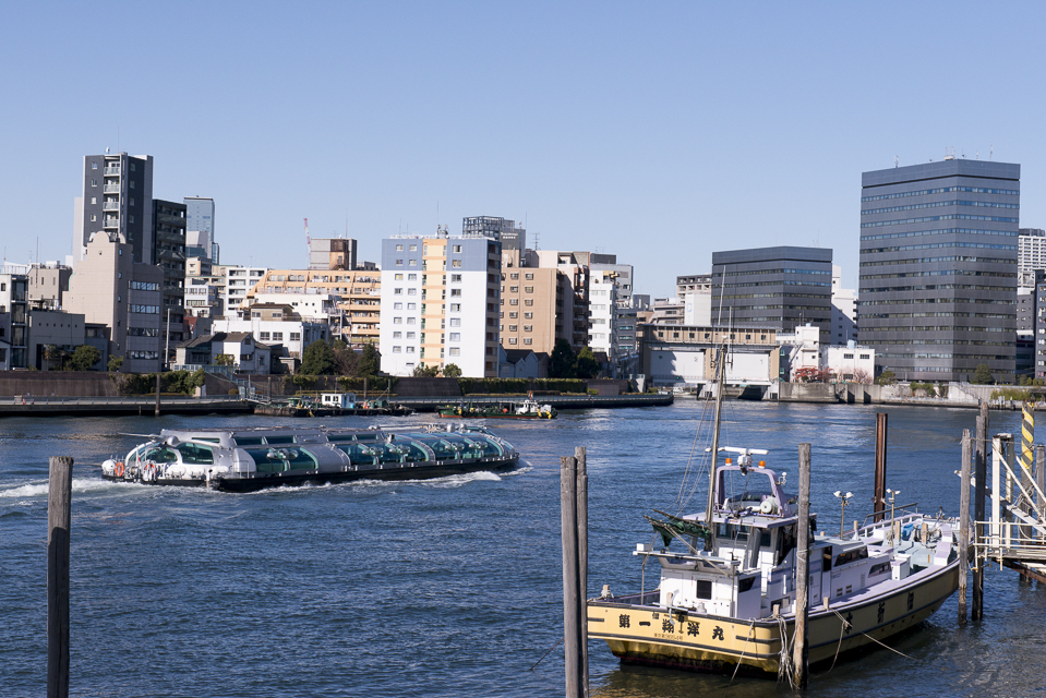 隅田川（佃島付近）