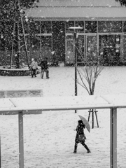 今日は雪