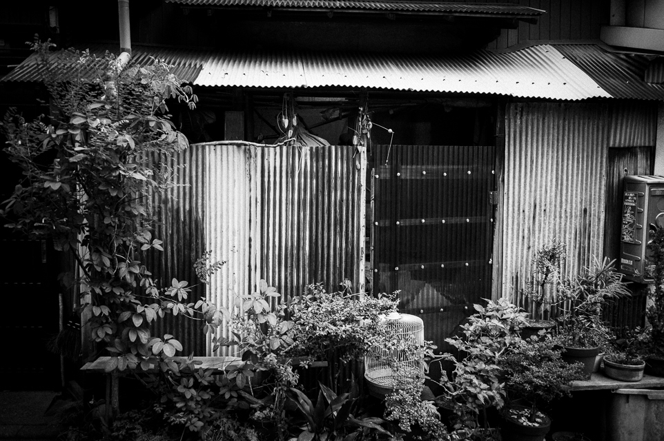京島界隈 #7