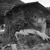 増富 #1