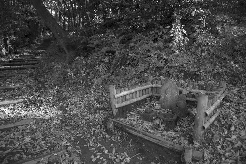 里山　茅ヶ崎付近