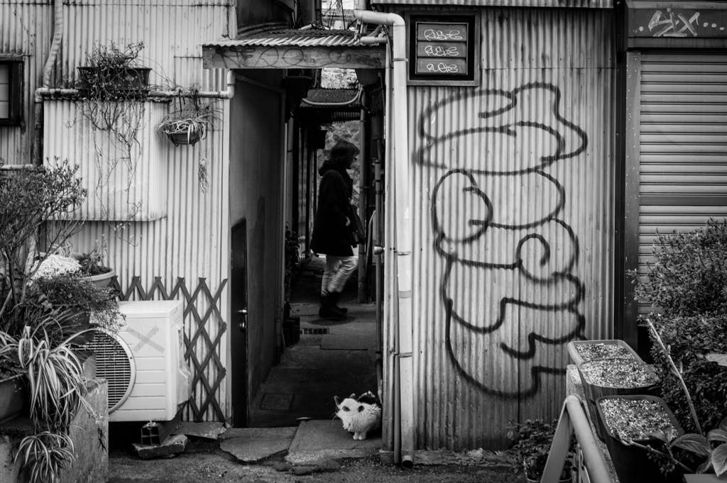渋谷