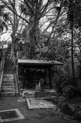 谷中 #7