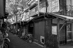 元麻布 #1 元麻布 #1