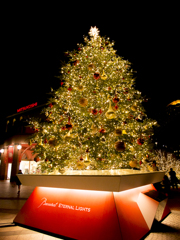 Baccarat ETERNAL LIGHTS