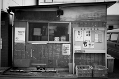 芝 #10