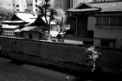 秋葉原界隈