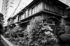 北品川界隈 #2