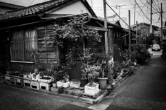 京島界隈 #3