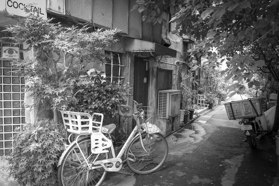 池上界隈 #11