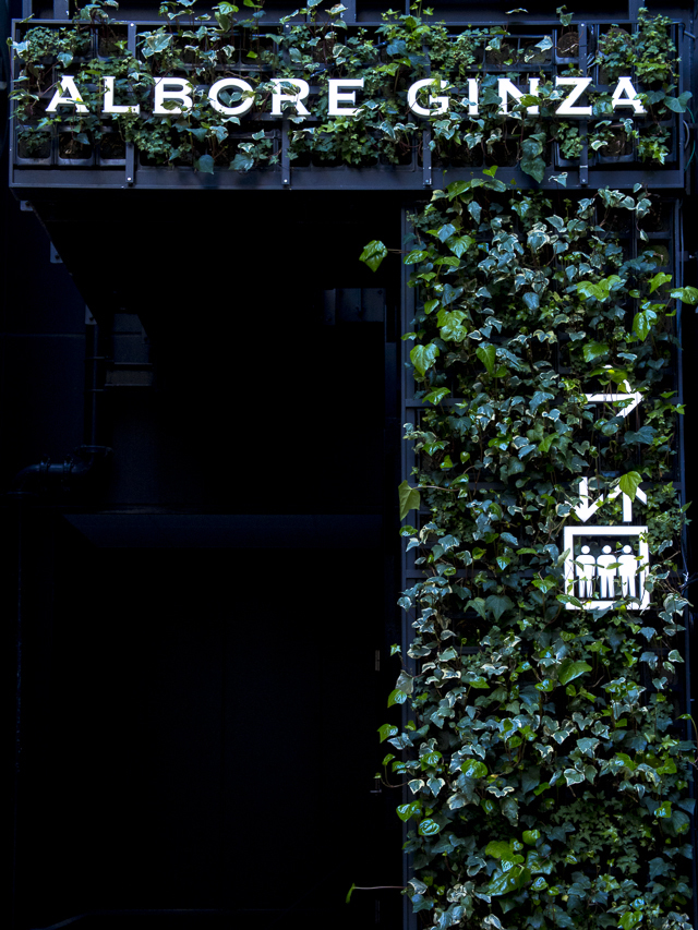 GINZA