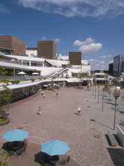 terracemall-shonan