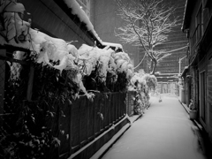 府中 #6