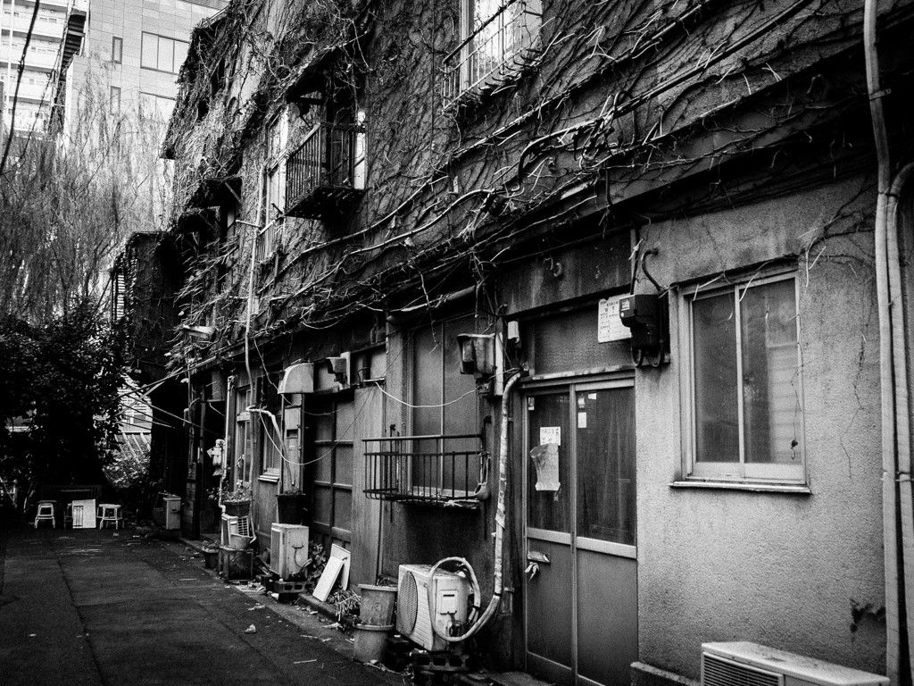 新富町 #01