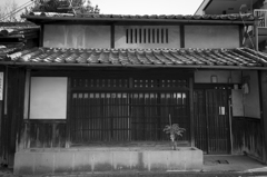 奈良 #6
