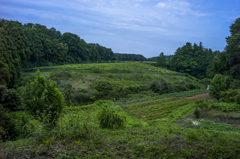 村（石川丸山谷戸） #1