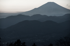 大山蓑毛 #2