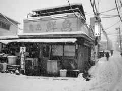 府中 #2