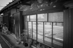 根津 #2