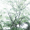 軽井沢 #1