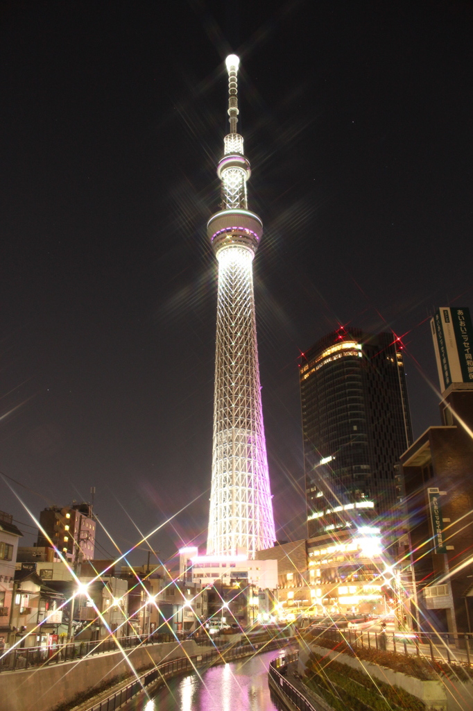東京×スカイツリー