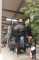SL-D51