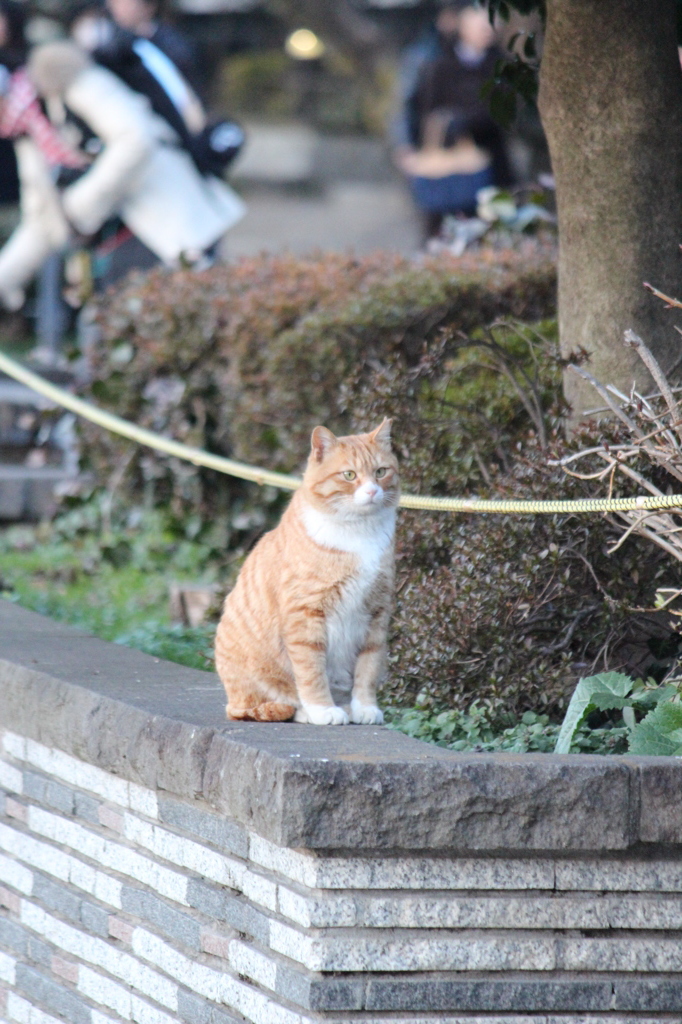 待ち人探し