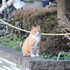 待ち人探し