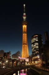 ２０２０年東京オリンピックへのカラー