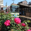 花咲く路面電車