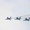 空を駆けるドルフィン