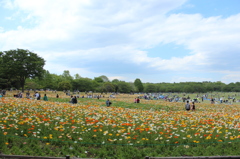 みんなの原っぱ