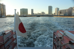 シーバス船尾